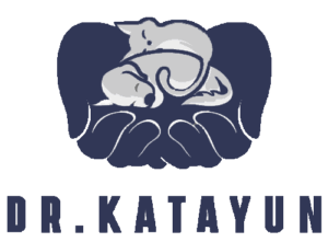Logo 2 - Dr.Katayun