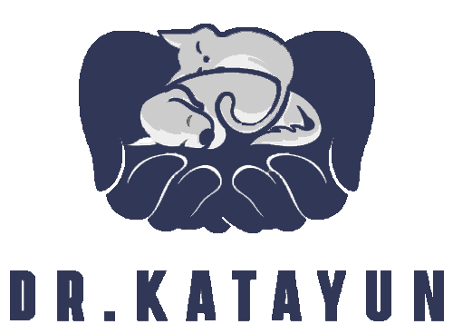 Logo 2 - Dr.Katayun